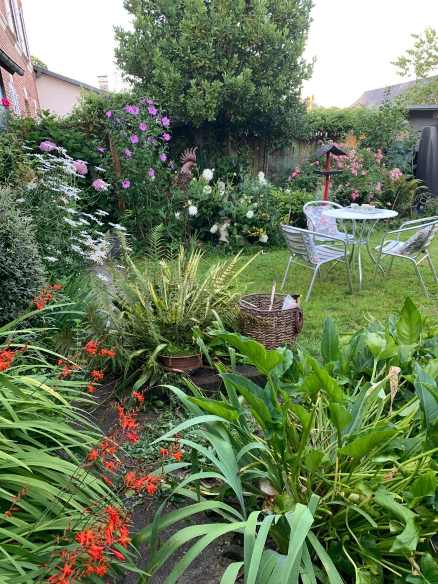 Dom’s Garden Bed and Breakfast Livarot-Pays-d'Auge Exteriör bild